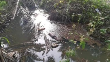 Kirli su yüzeyinde yüzen öğütülmüş siyah cam şişe.