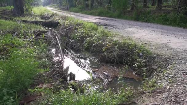 Weggegooide Zwarte Glazen Fles Drijvend Het Vuile Wateroppervlak — Stockvideo