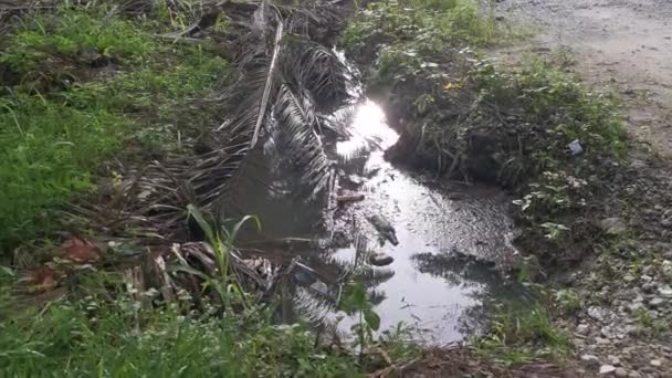 Weggegooide Zwarte Glazen Fles Drijvend Het Vuile Wateroppervlak — Stockvideo