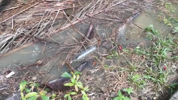 Weggeworfene Glasflasche Schwimmt Auf Der Schmutzwasseroberfläche — Stockvideo