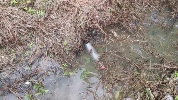 Bouteille Verre Disposé Flottant Sur Surface Eau Sale — Video