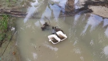 Kirli su yüzeyinde yüzen öğütülmüş köpük nesne