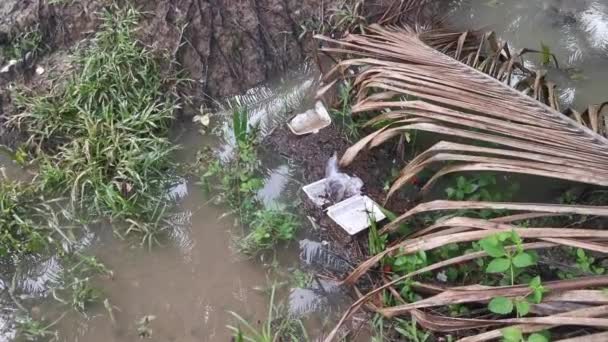 Entsorgtes Styroporobjekt Schwimmt Auf Der Schmutzwasseroberfläche — Stockvideo