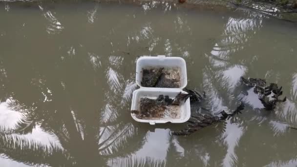 Smaltito Oggetto Polistirolo Galleggiante Sulla Superficie Dell Acqua Sporca — Video Stock