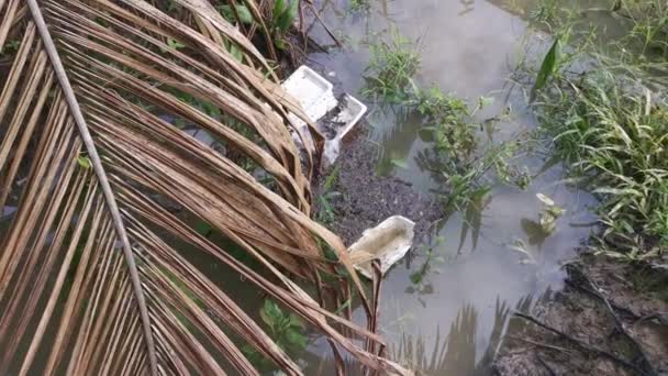 Smaltito Oggetto Polistirolo Galleggiante Sulla Superficie Dell Acqua Sporca — Video Stock