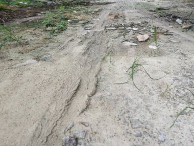 Kırsal yolda araç lastiği izi var.