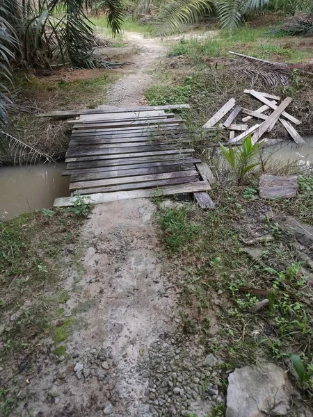 Simple Pont Bois Pour Franchir Drain — Photo