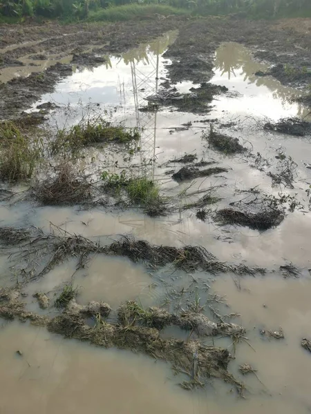 浸水した泥だらけの農地の光景は — ストック写真