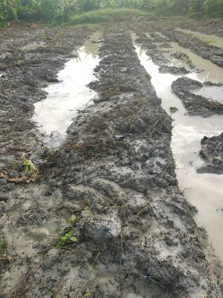 Scena Zalanego Błotnistego Pola Uprawnego — Zdjęcie stockowe