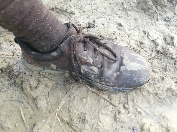 Velho Sapato Pau Com Lama Chão Pantanoso — Fotografia de Stock