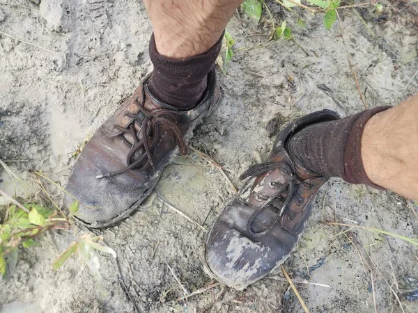 Old Shoe Stick Mud Swampy Ground — Stock Photo, Image