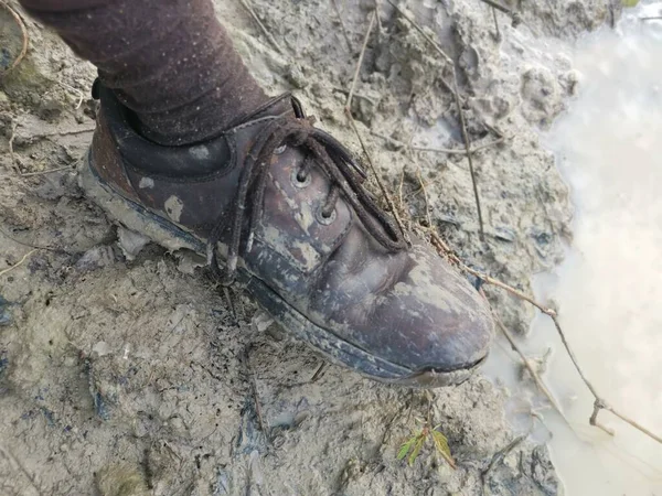 Old Shoe Stick Mud Swampy Ground — Stock Photo, Image