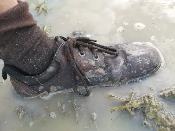 Sepatu Tua Menempel Dengan Lumpur Dari Tanah Berawa Rawa — Stok Foto