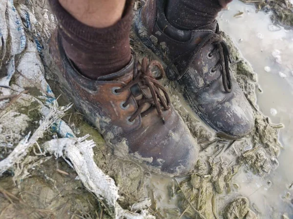 Old Shoe Stick Mud Swampy Ground — Stock Photo, Image