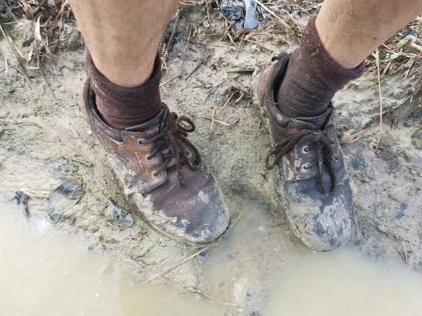用泥巴粘住沼泽地的旧鞋棒 — 图库照片