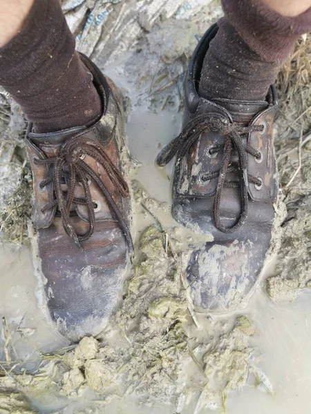 Old Shoe Stick Mud Swampy Ground Stock Photo