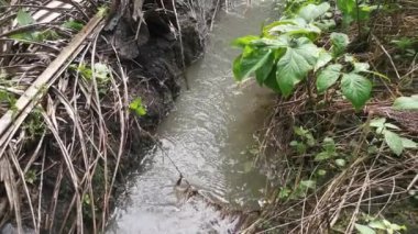 Çiftlik drenajından akan yağmur suyu.