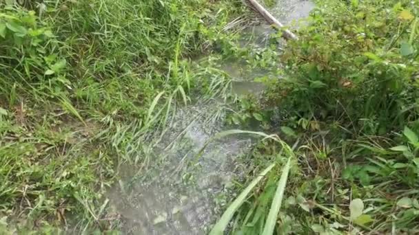 Regenwasser Aus Der Hofentwässerung — Stockvideo