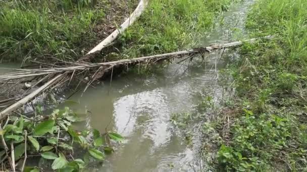 Odpływ Wody Deszczowej Odwodnienia Gospodarstwie — Wideo stockowe