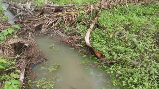 Escorrentía Agua Lluvia Granja Drenaje — Vídeos de Stock