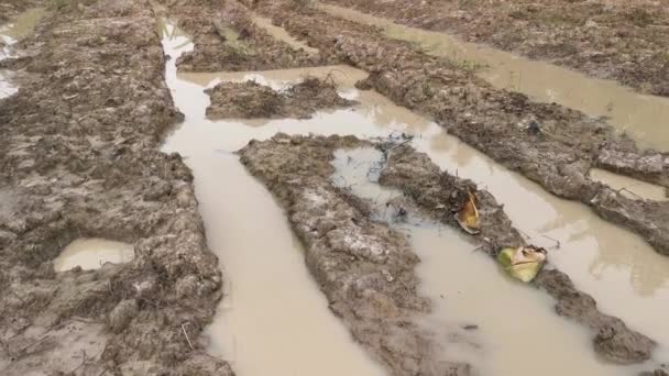 被洪水淹没的泥泞农田的景观 — 图库视频影像