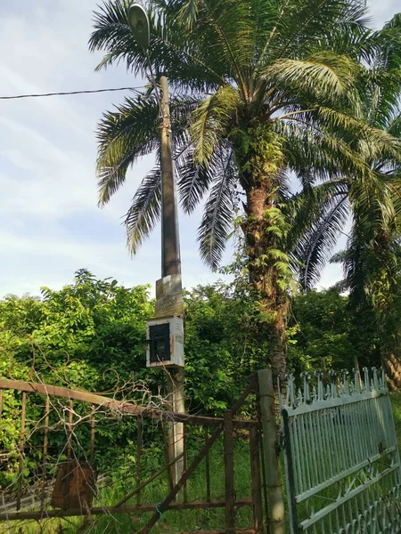 Elektriciteitsmeter Doos Bevestigd Aan Paal Met Danger Bord Geschreven Het — Stockfoto