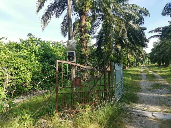 Stromzählerkasten Mast Mit Dem Malaiischen Schild Bahaya Und Dem Aufkleber — Stockfoto