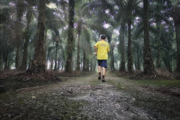 Oudere Man Joggen Plantage Alleen — Stockfoto