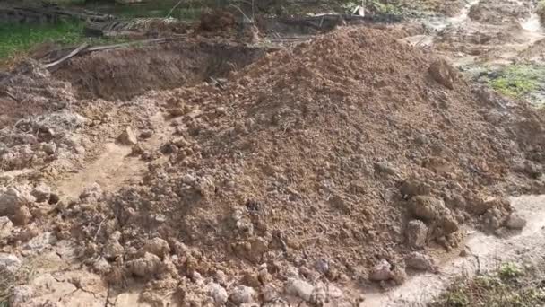 Ditch Dug Tractor Filled Rain Water Land — Stok Video