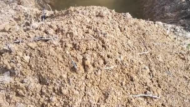 陸の雨水で満たされたトラクターによって掘られた溝 — ストック動画