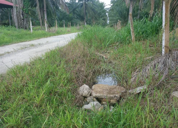 Vroeg Ochtend Landschap Rond Het Landelijke Pad — Stockfoto