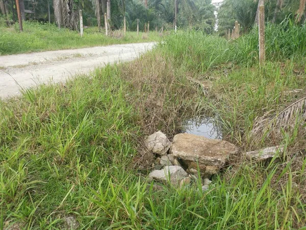 Vroeg Ochtend Landschap Rond Het Landelijke Pad — Stockfoto