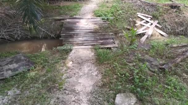 Простий Дерев Яний Міст Перетину Дренажного Шляху — стокове відео