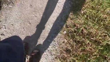 Kırsal yolda yürüyen bir kişinin gölgeli figürü