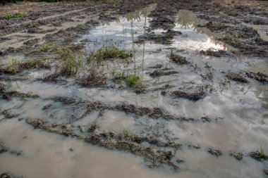 Elektrik iletim kulesinin etrafındaki çamurlu zemin