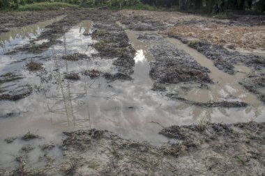 Elektrik iletim kulesinin etrafındaki çamurlu zemin