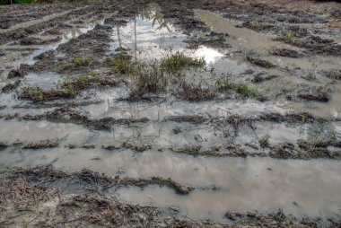 Elektrik iletim kulesinin etrafındaki çamurlu zemin