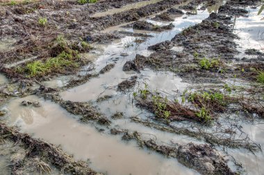 Elektrik iletim kulesinin etrafındaki çamurlu zemin