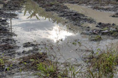 Elektrik iletim kulesinin etrafındaki çamurlu zemin