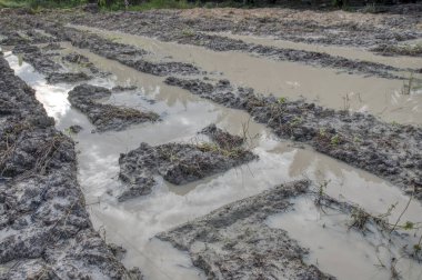 Elektrik iletim kulesinin etrafındaki çamurlu zemin