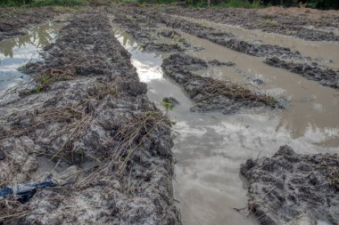 Elektrik iletim kulesinin etrafındaki çamurlu zemin
