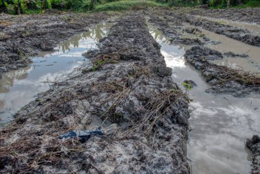 Elektrik iletim kulesinin etrafındaki çamurlu zemin