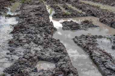 Elektrik iletim kulesinin etrafındaki çamurlu zemin