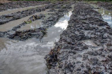 Elektrik iletim kulesinin etrafındaki çamurlu zemin