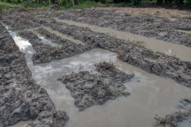 Elektrik iletim kulesinin etrafındaki çamurlu zemin
