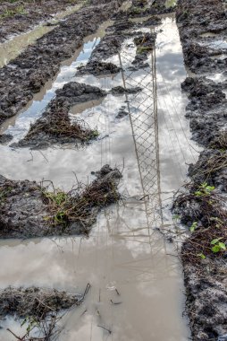 Elektrik iletim kulesinin etrafındaki çamurlu zemin