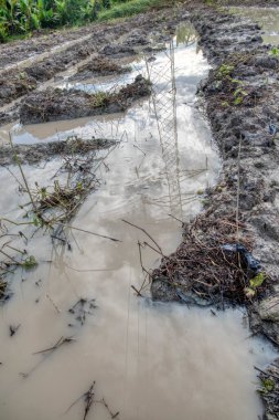 Elektrik iletim kulesinin etrafındaki çamurlu zemin