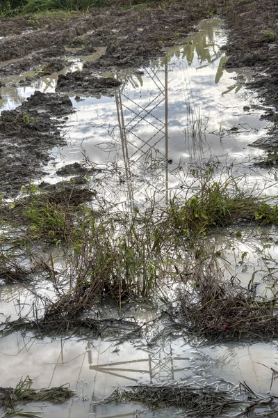 Elektrik iletim kulesinin etrafındaki çamurlu zemin