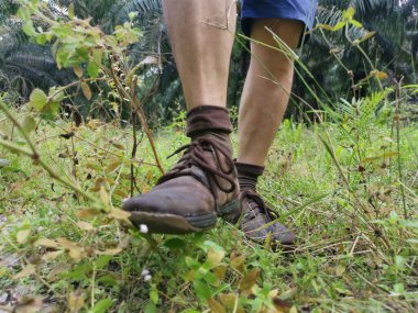 Birisi çimlerin üzerinde yürüyor..