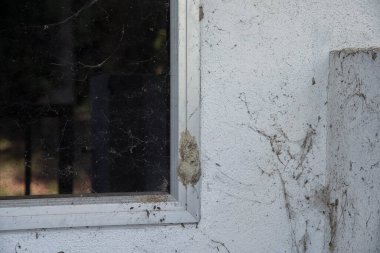 Duvarda ya da pencere çerçevesinde çamur damlası var